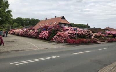 Ammerland – Erlebbare Gartenkultur Gartenstudienreise des Kreisverbandes für Gartenbau und Landespflege begeistert 78 Teilnehmerinnen und Teilnehmer