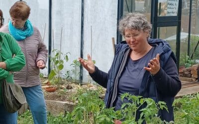 Erste Hilfe im Garten