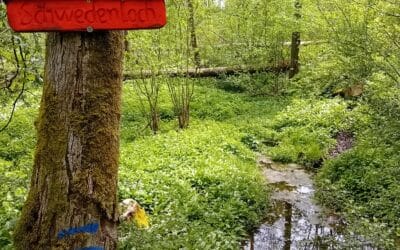 Die Heimat neu erlebt – Geführte Wanderung entlang der Wässernach mit Bernd und Angela Reinhard stieß auf großes Interesse