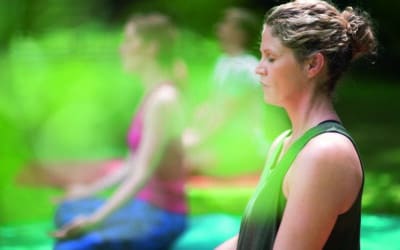 Kostenfreie Gesundheits- und Bewegungskurse im  Luitpoldpark