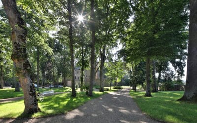 Schlossparkführung: Auf den Spuren von Geschichte und Gartenkunst