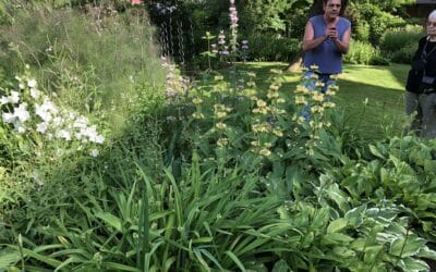 Gartenparadiese öffnen ihre Pforten