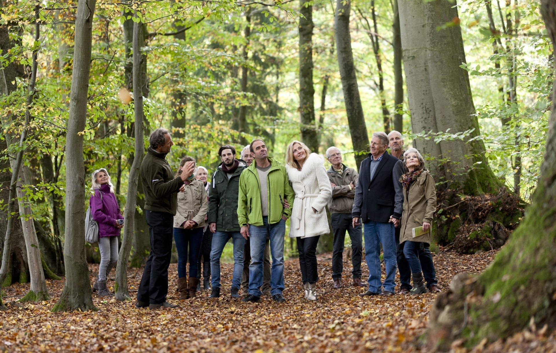 FriedWald am Zabelstein bei einer Waldführung kennenlernen