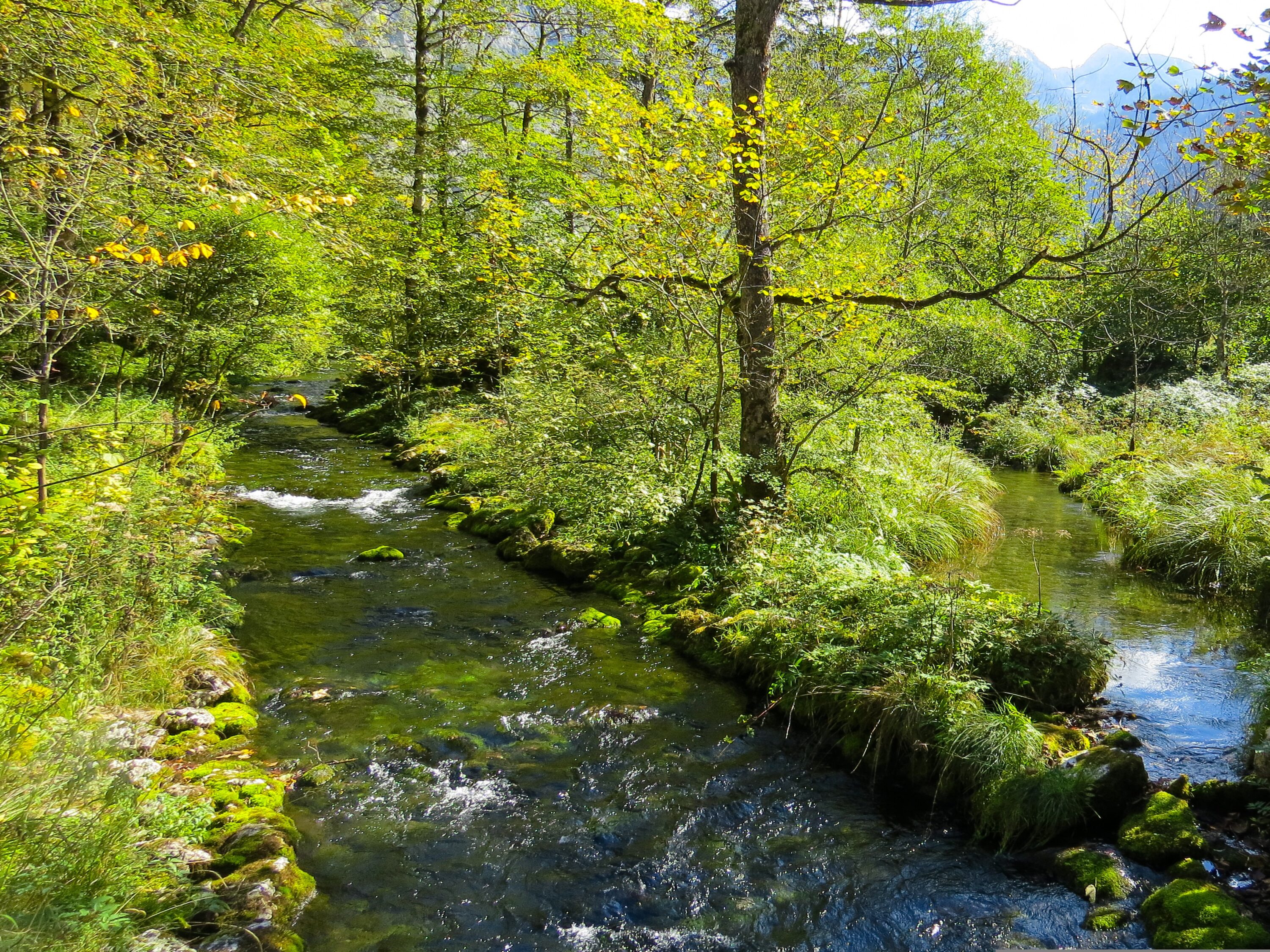 garten-gg-nature-5053564