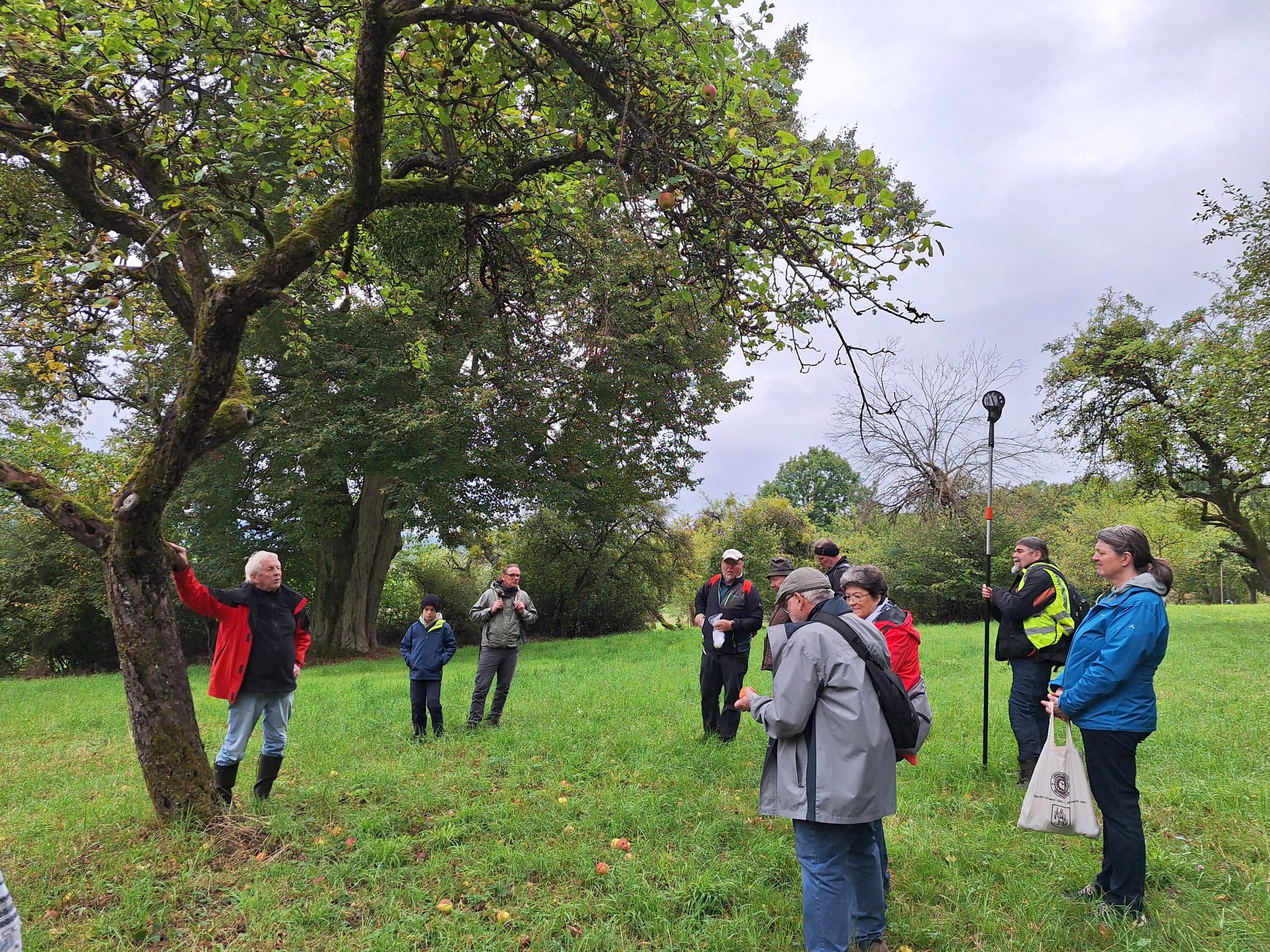 Streuobstwanderung in Hohnhausen – Einblicke in die Vielfalt der regionalen Apfel- und Birnensorten