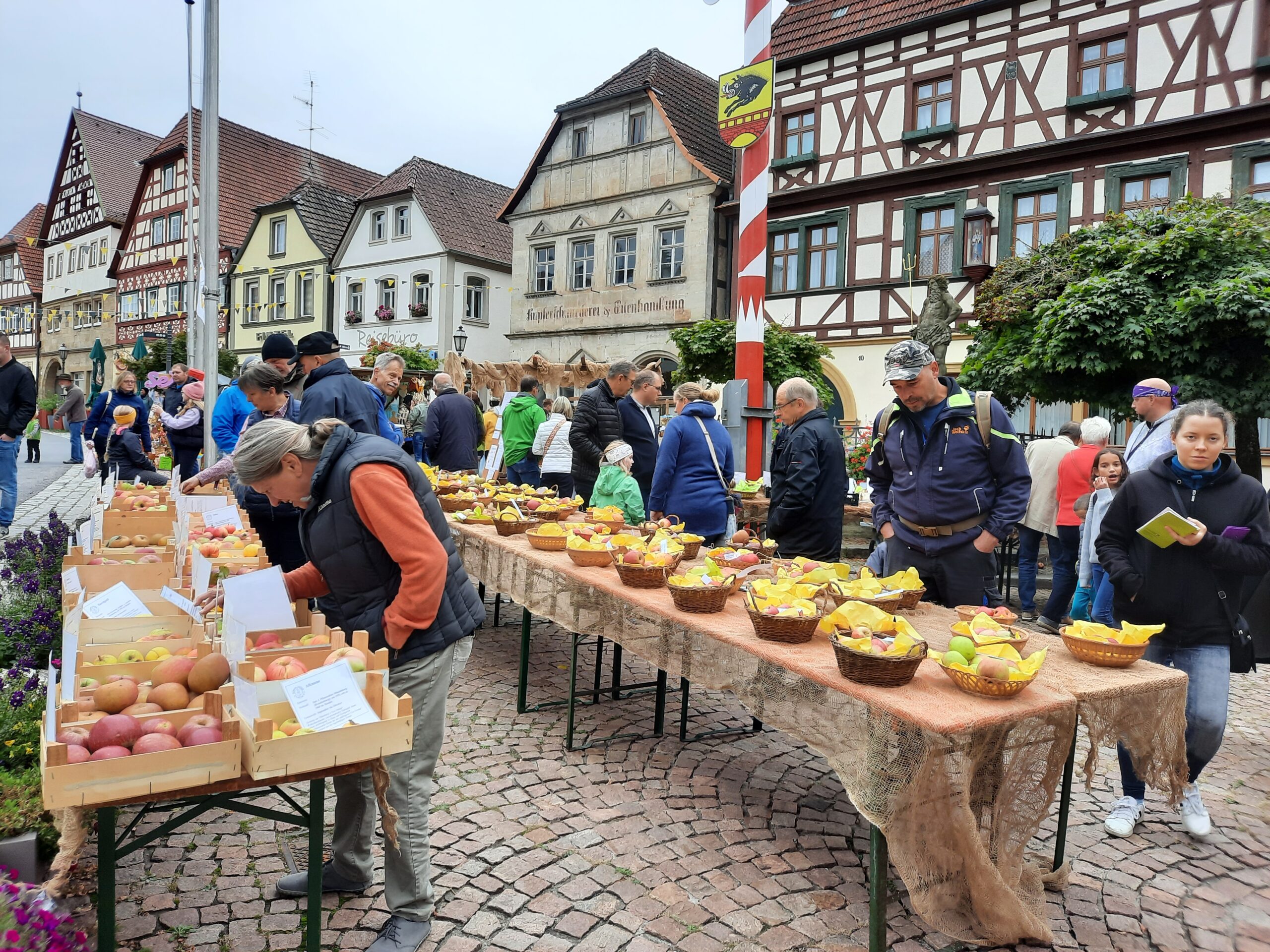 Heimische Obstvielfalt erleben