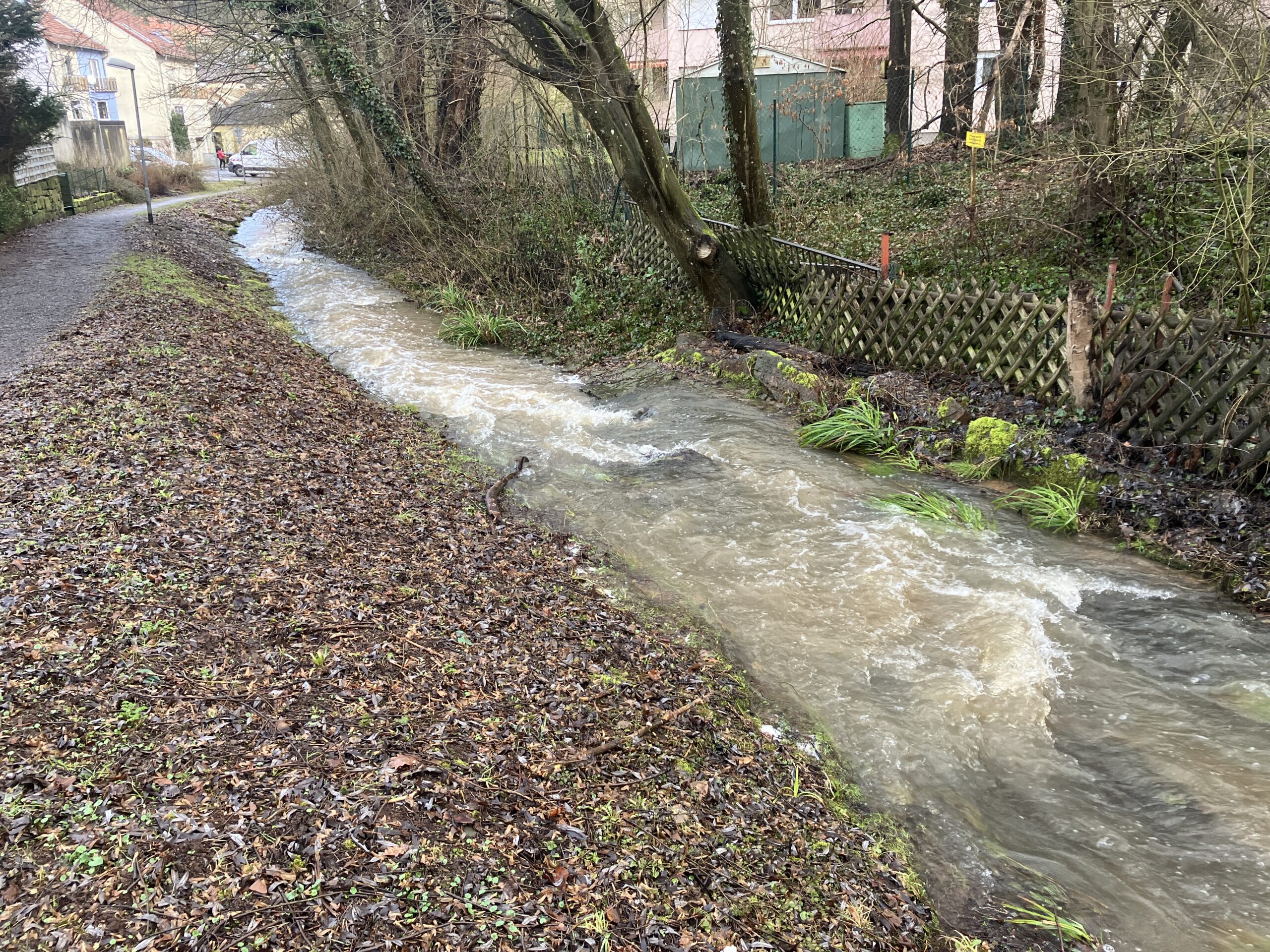 Naturnahe Umgestaltung des Marbachs – Ab Montag zwischen Parkstraße und Schützenstraße